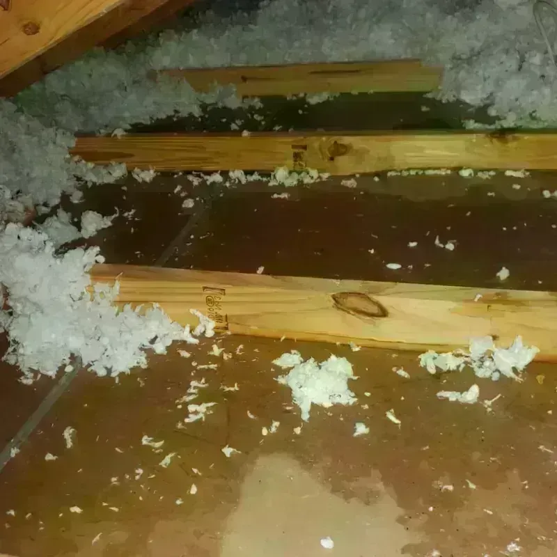 Attic Water Damage in Deep River Center, CT